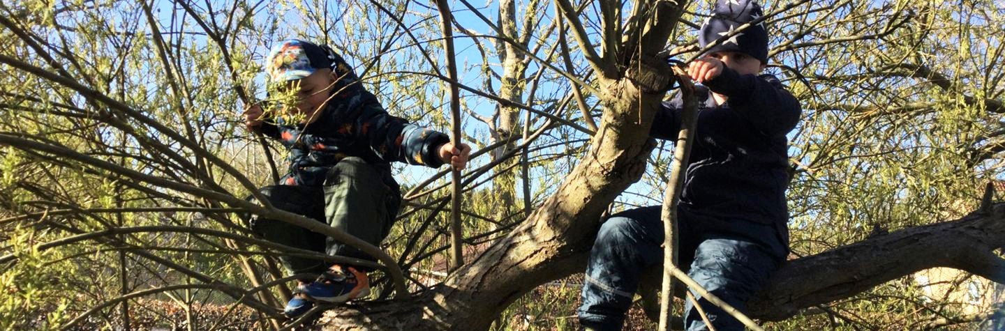 Børn, der kravler i træer