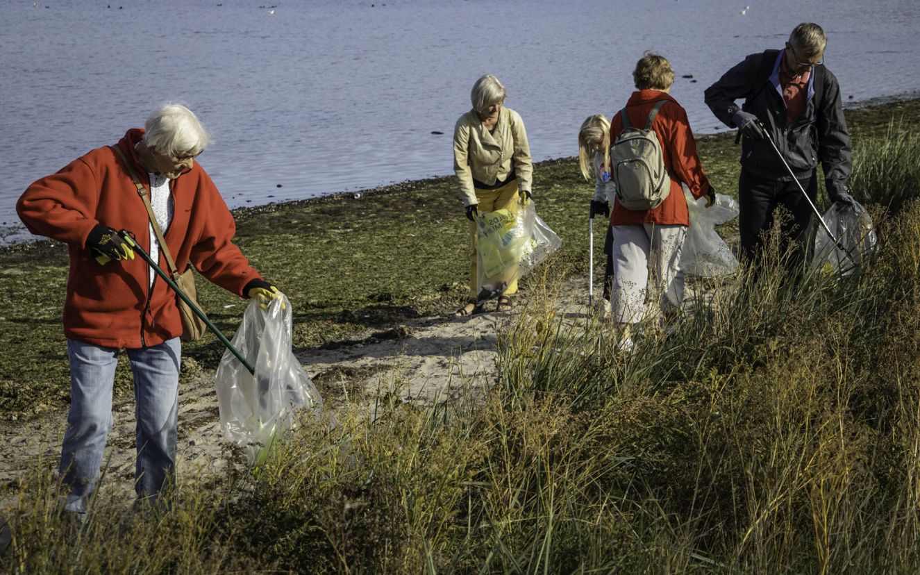En gruppe mennesker samler affald langs Roskilde Fjord