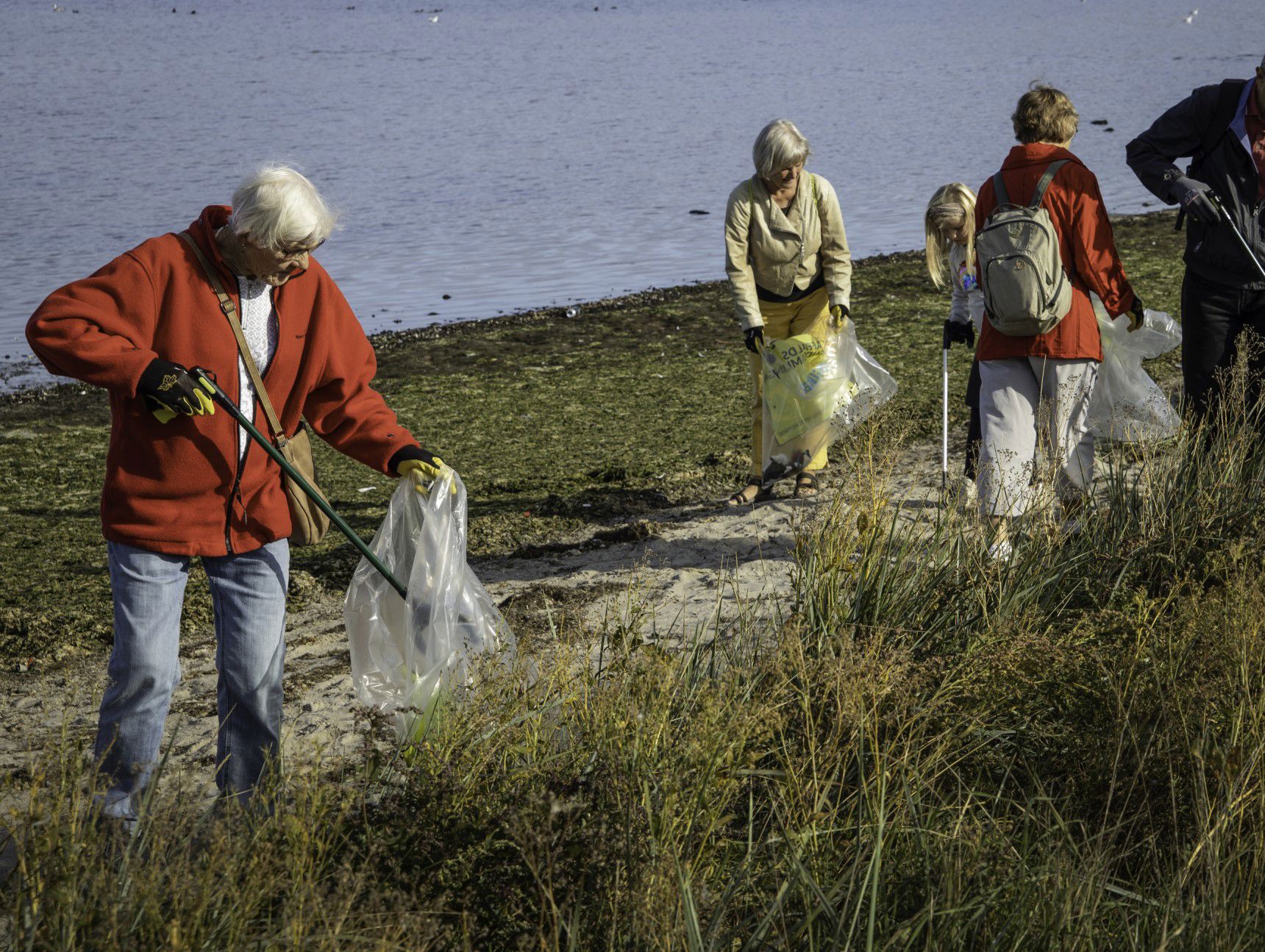 En gruppe mennesker samler affald langs Roskilde Fjord
