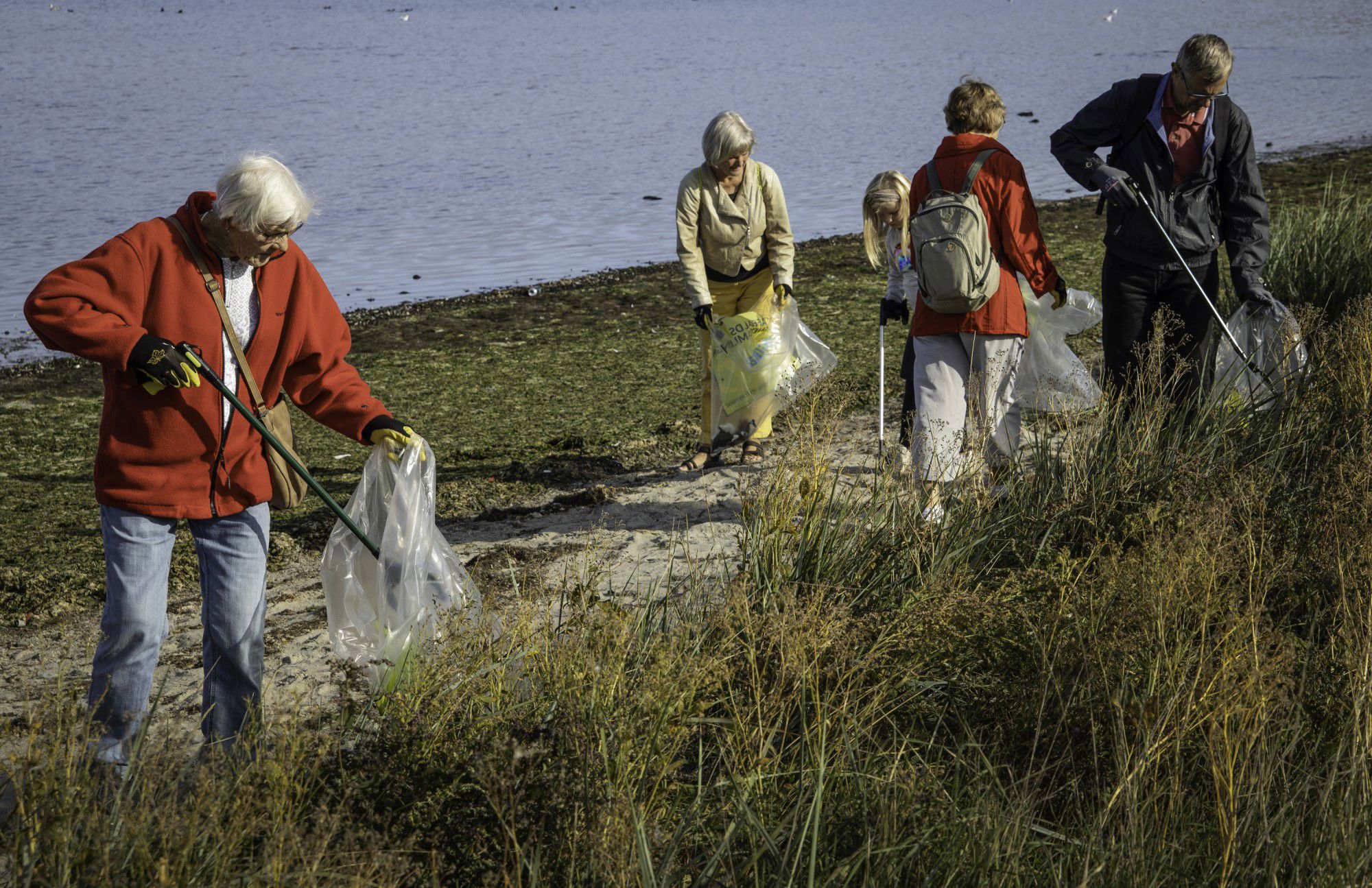 En gruppe mennesker samler affald langs Roskilde Fjord