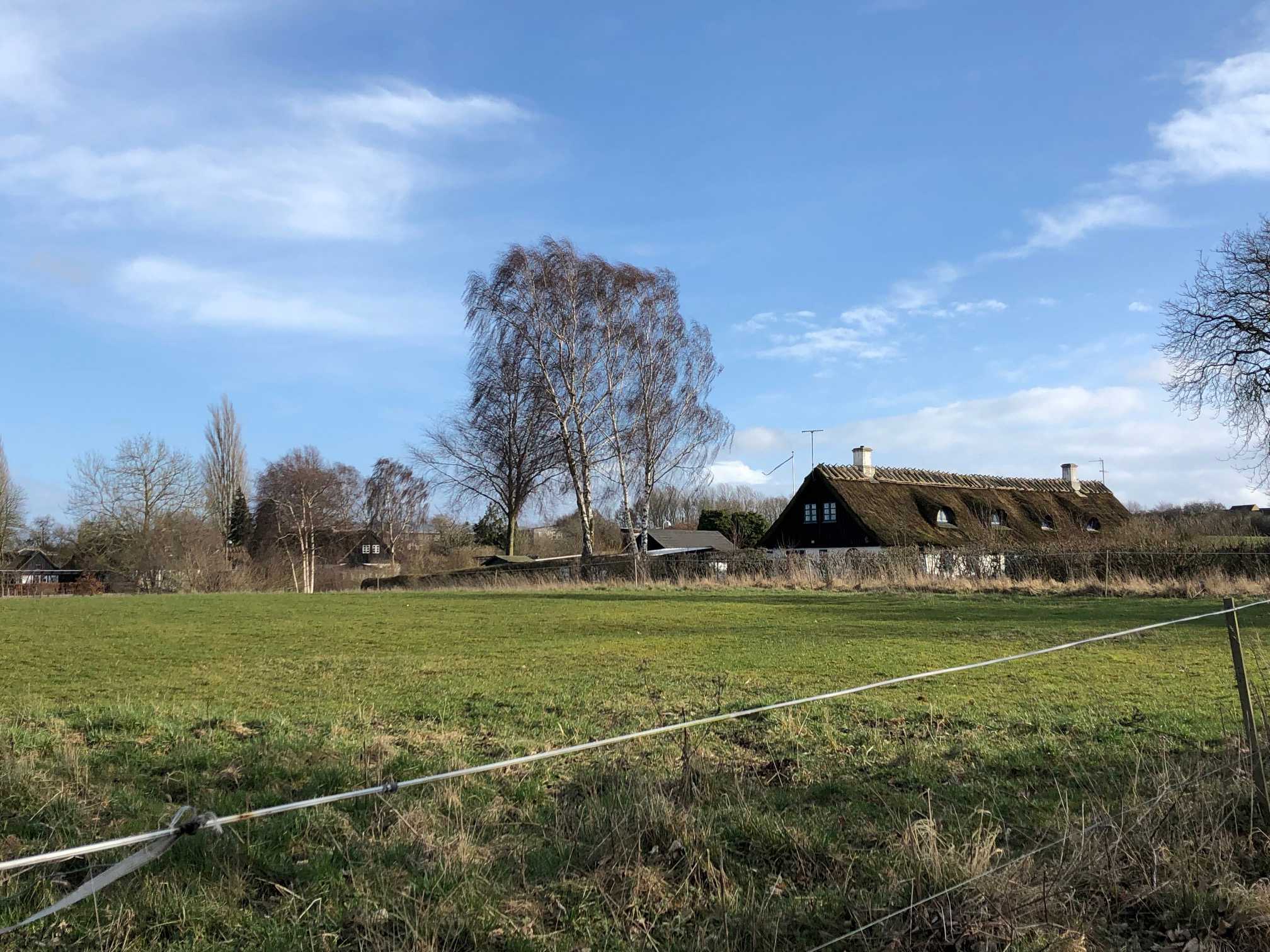 Hørhusene i landzone