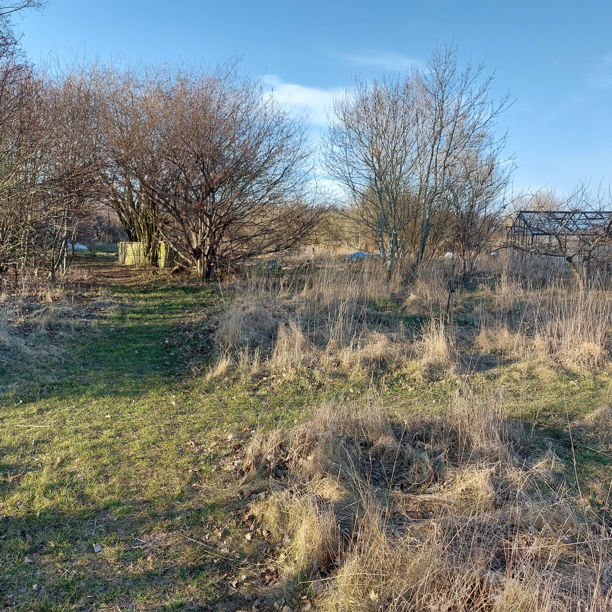 En have med forskellige forhold.