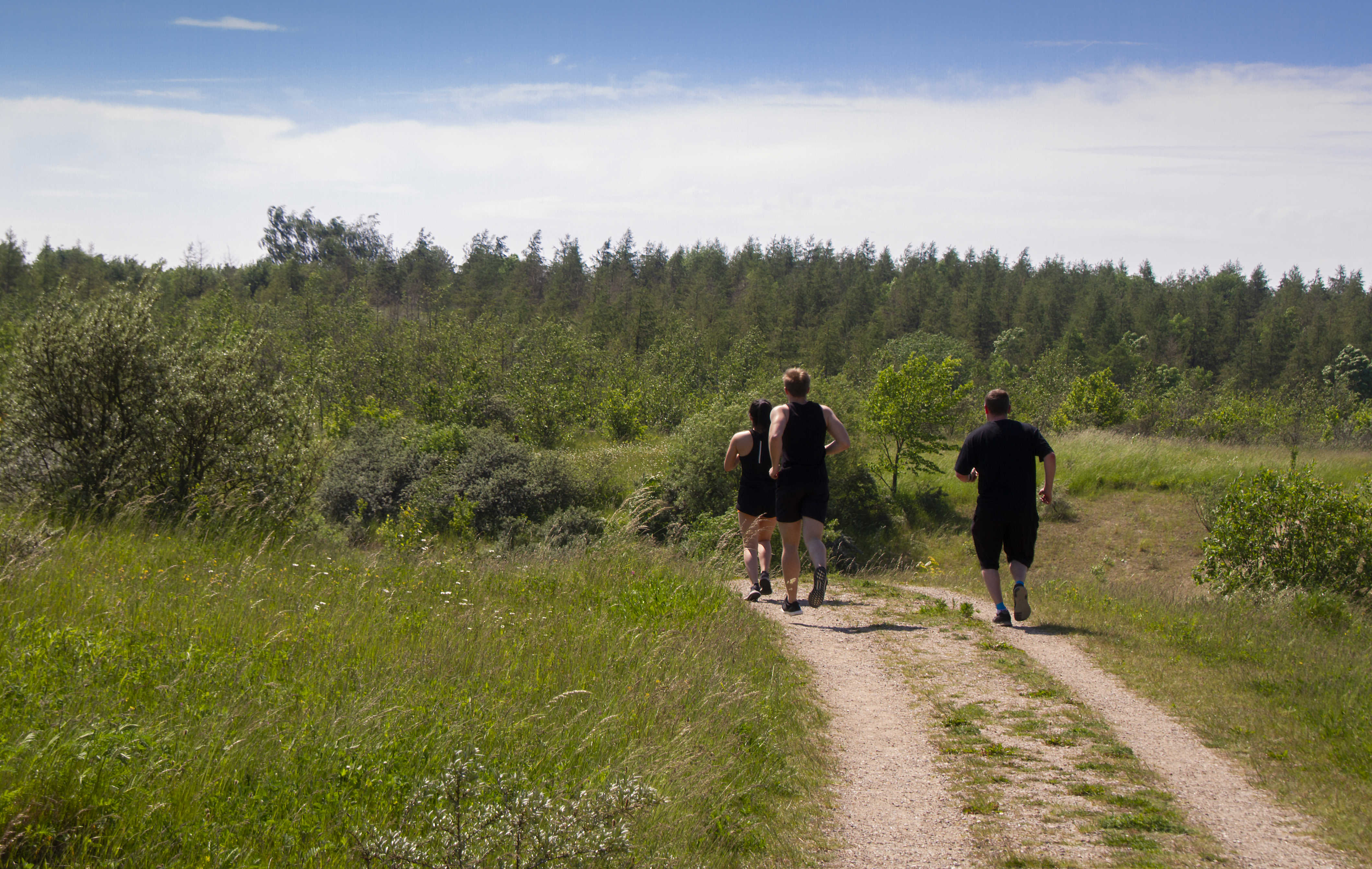 Det er sundt og godt at bevæge kroppen. Og i sommertiden kan det oven i købet foregå under åben himmel i naturen.