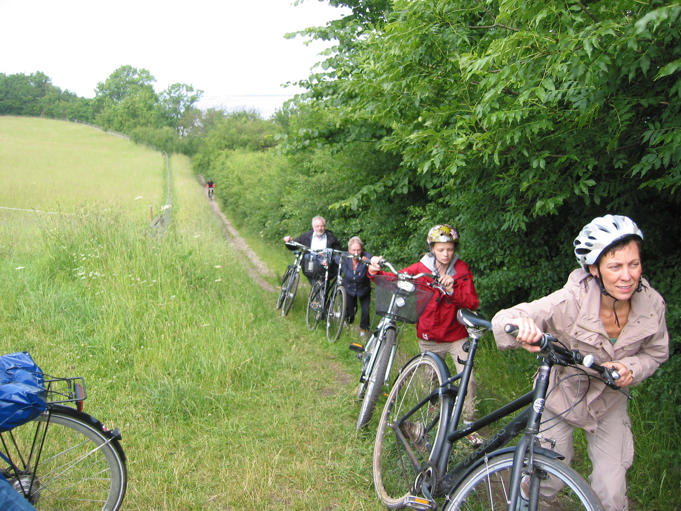 Munkevejen - forbi kirker, klostre, historiske ruiner og naturområder