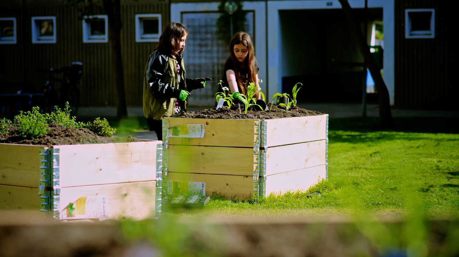 Nyttehave Rønnebærparken