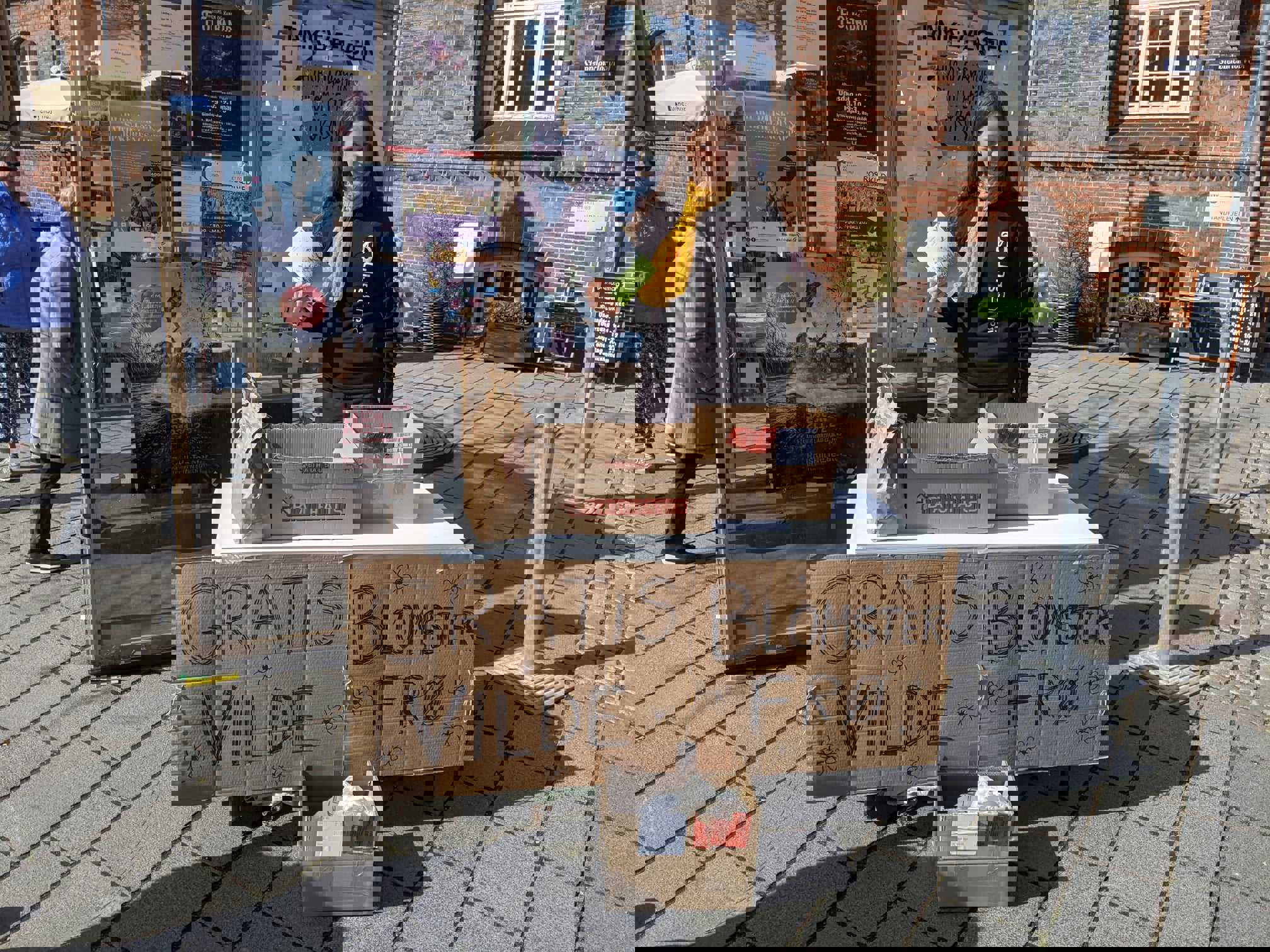 Frivillige fra UngEnergi Roskilde deler vilde blomsterfrø ud på Stændertorvet.