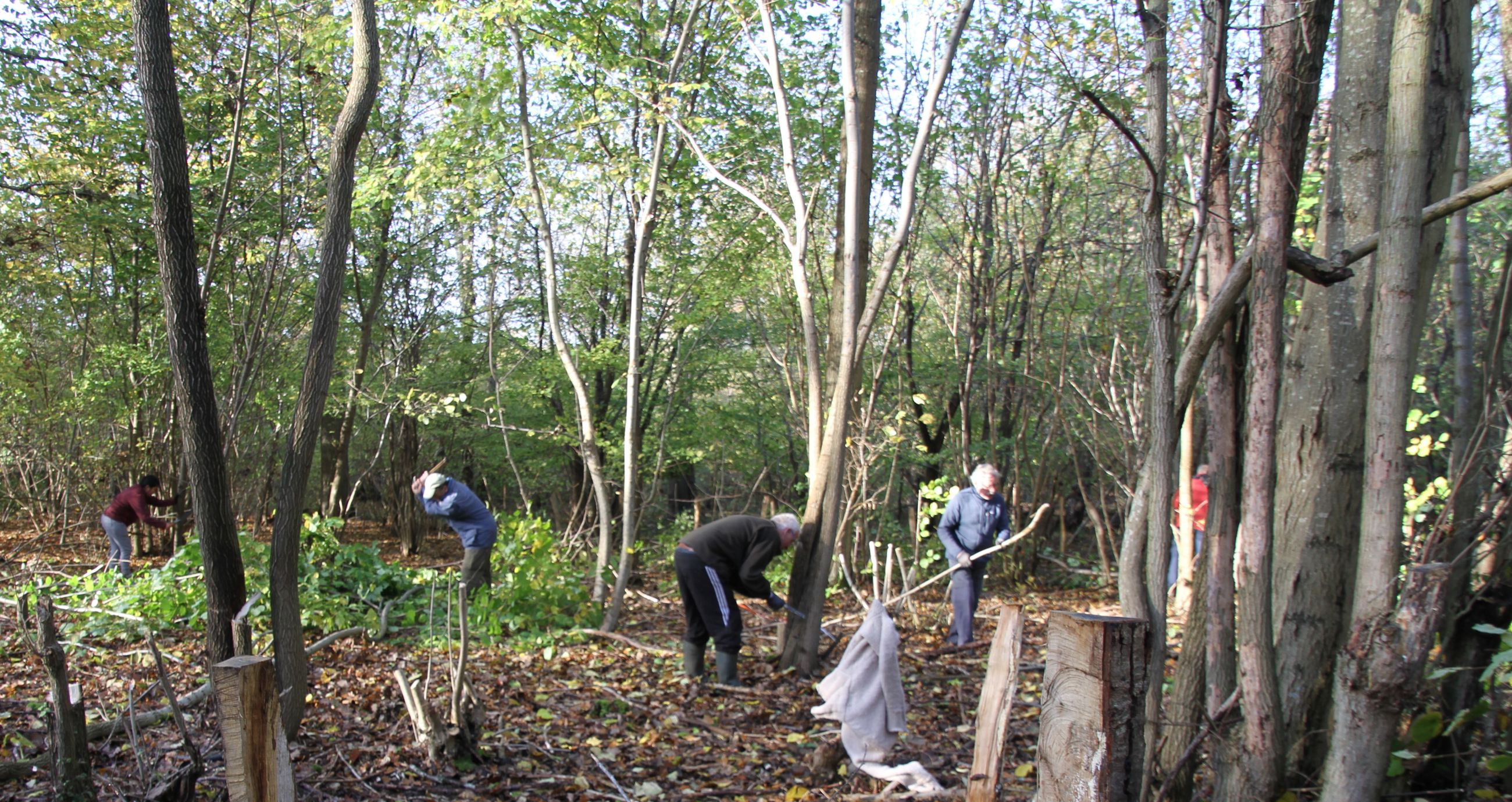 Frivillige fra Boserup Stævningslaug i fuld sving med arbejdet