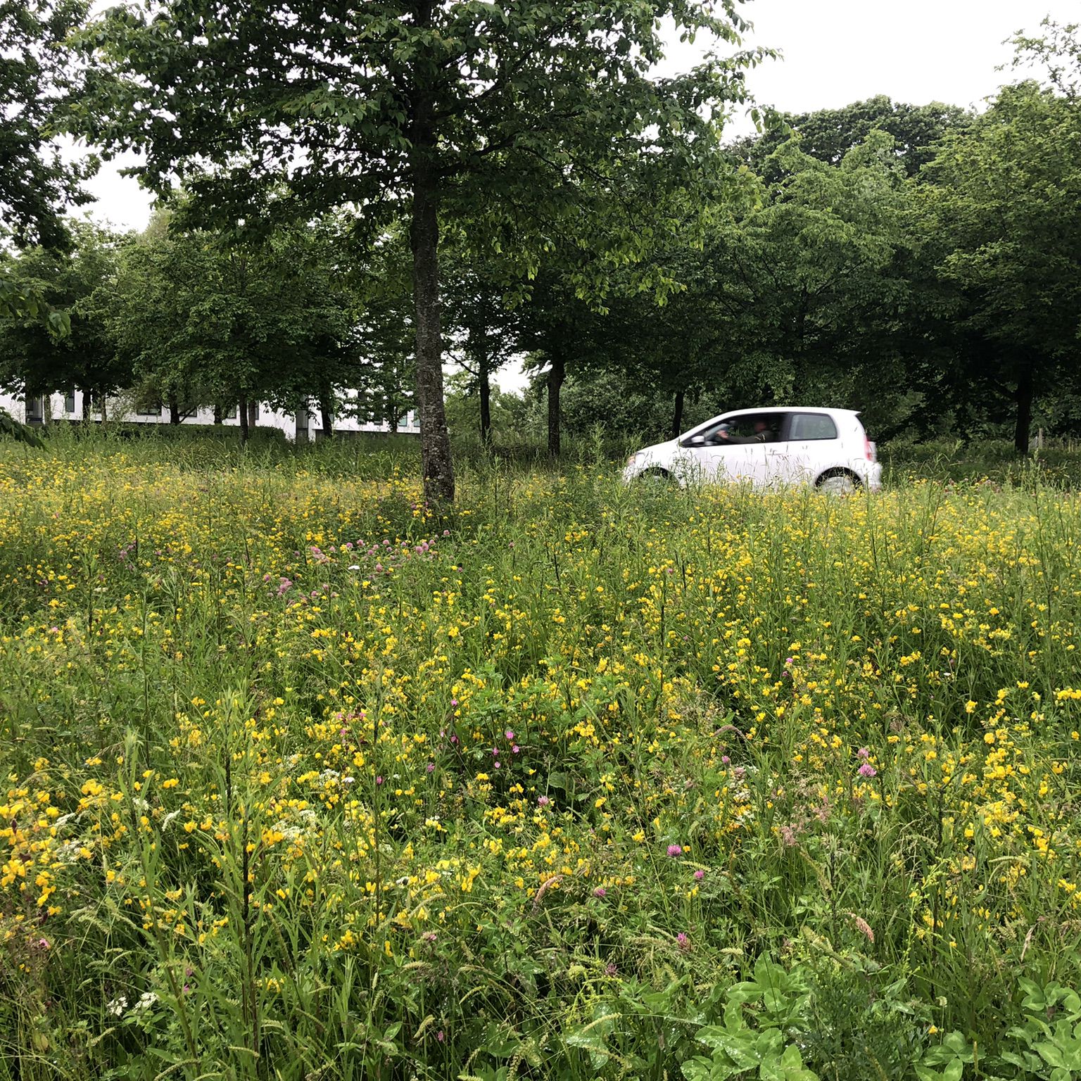 Nordens Parkvej.