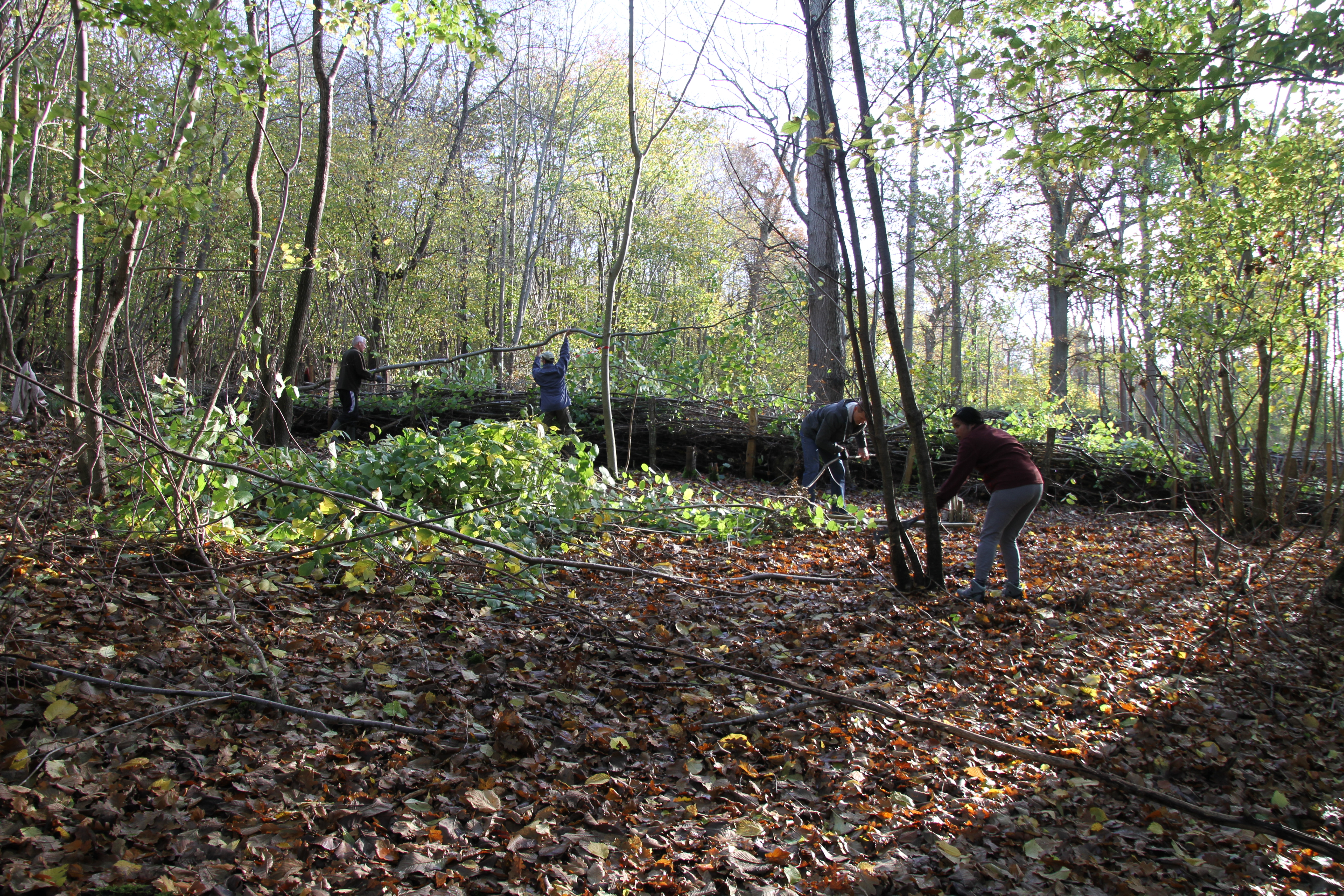 Grenhegn eller "gærdsel" bliver der også bygget! 