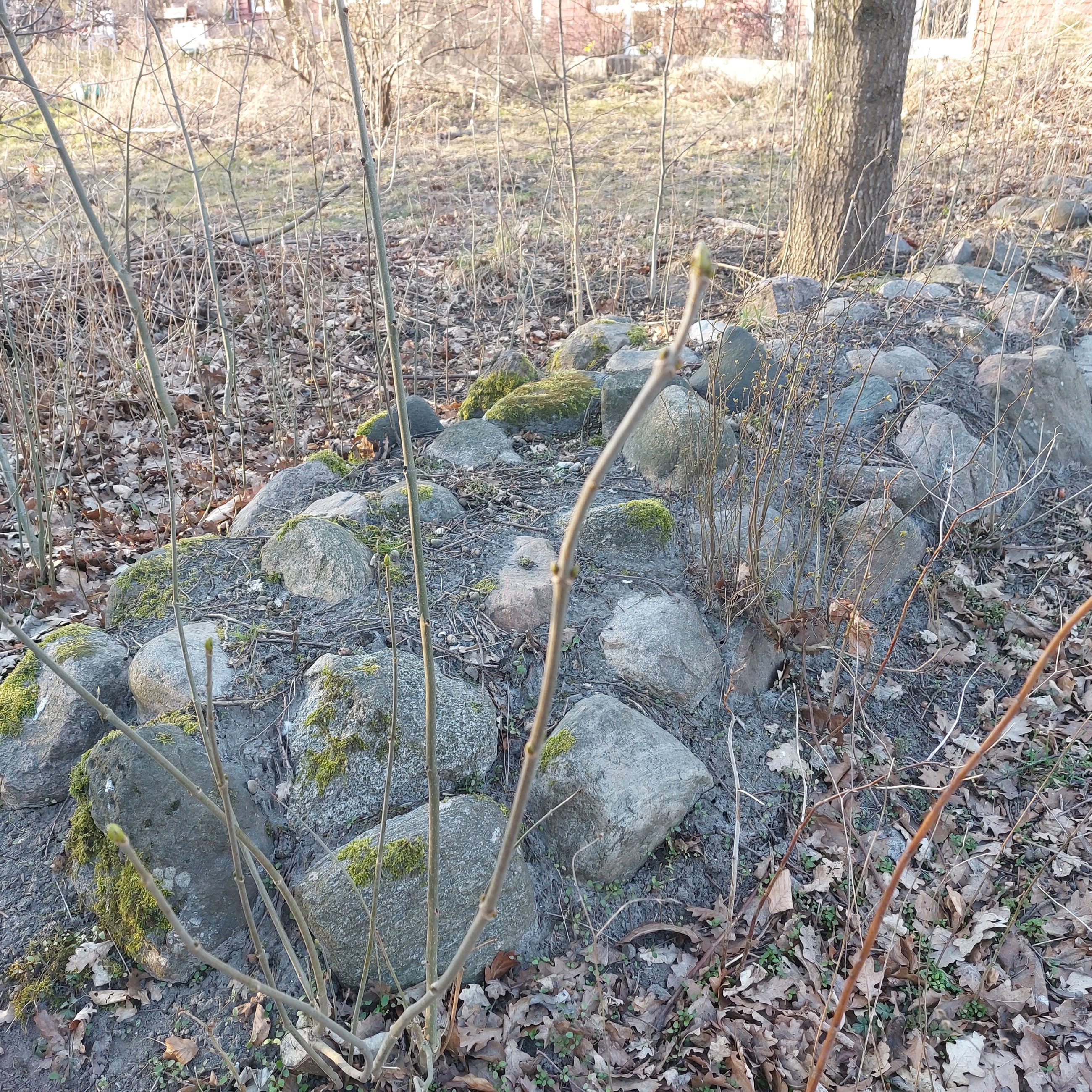Udover stendigers gavnlige effekt på biodiversiteten, er de også en smuk måde at indramme forskellige zoner i haven på.