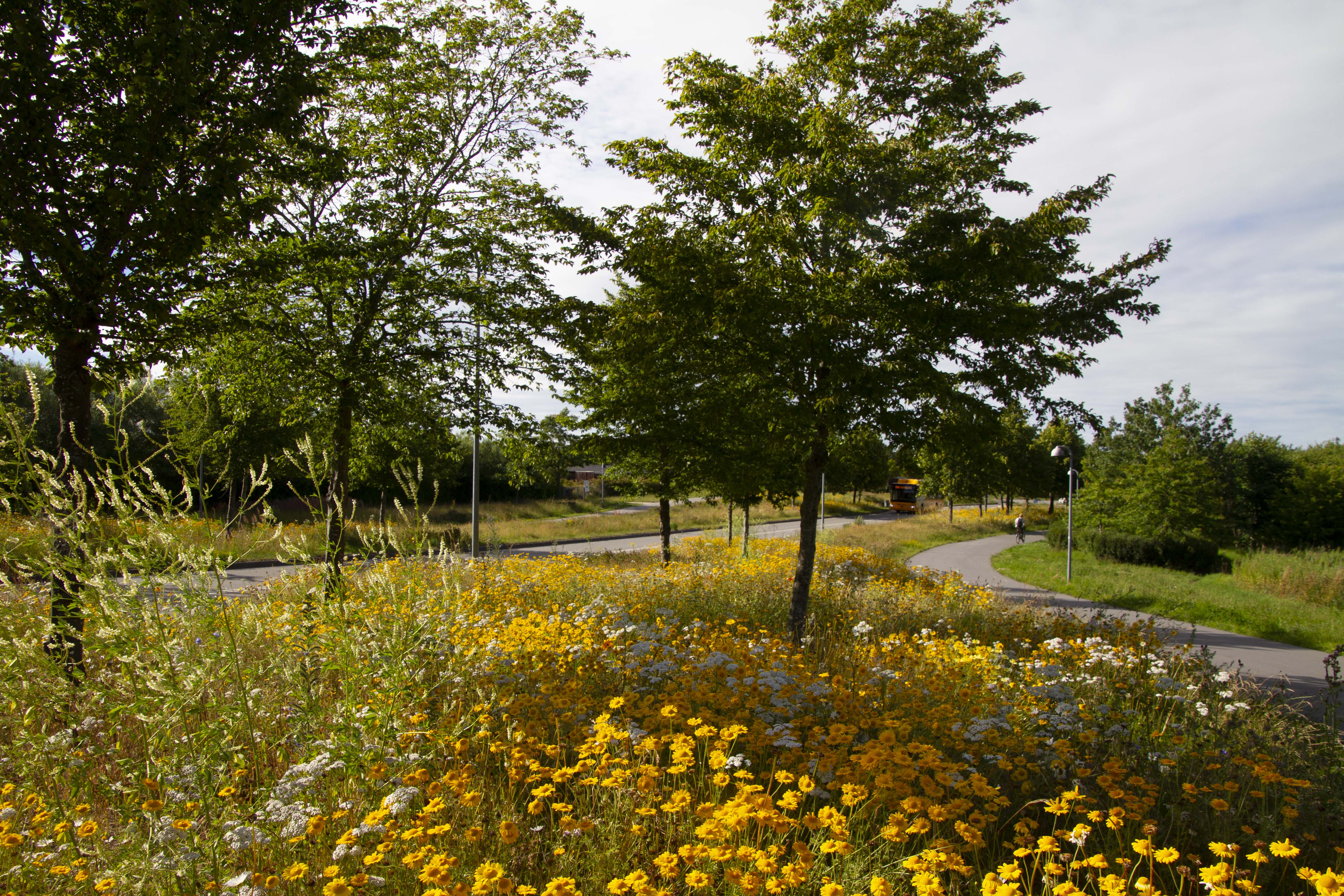Nordens Parkvej i sommeren 2022. 