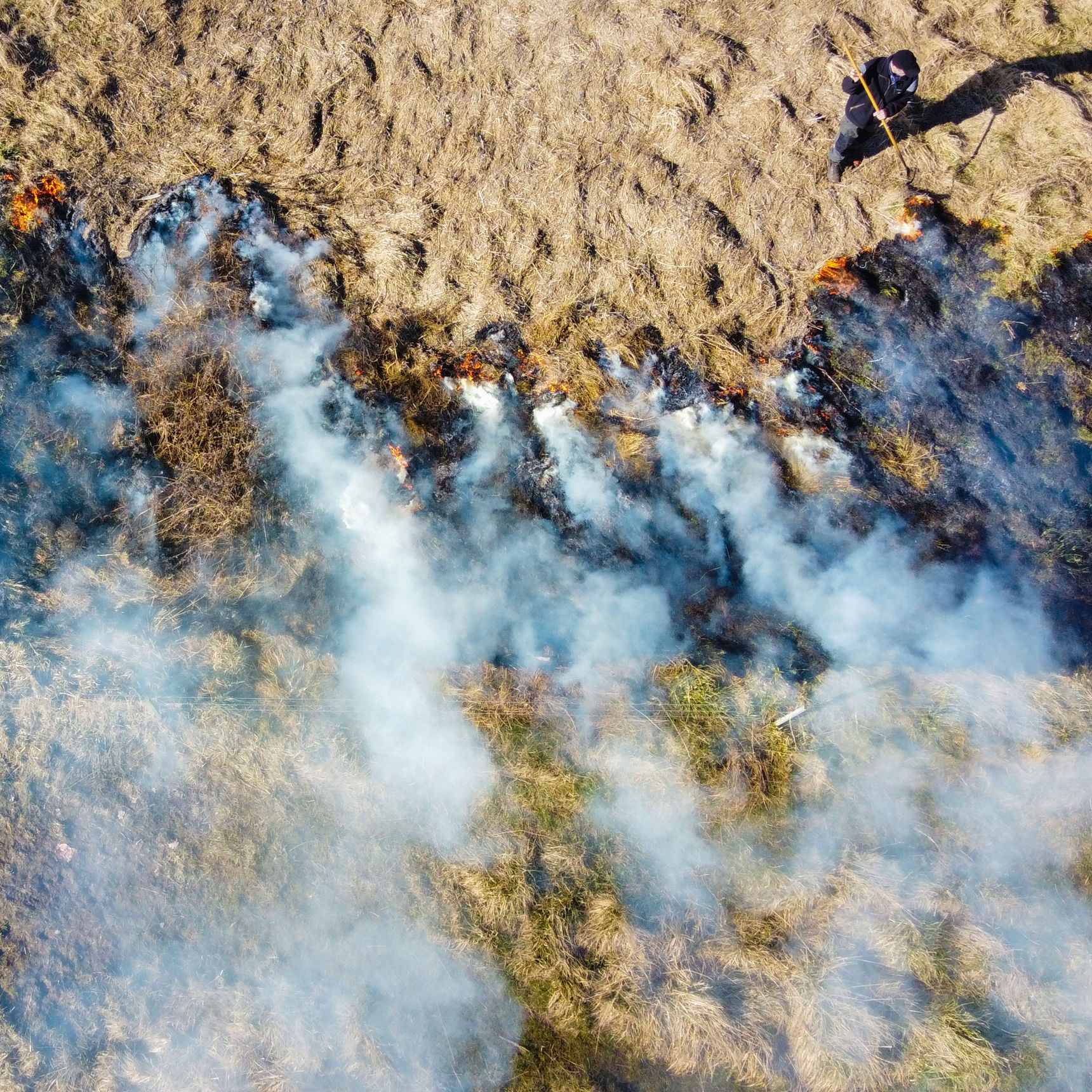 Kontrolleret afbrænding af førne ved Vigen Strandpark
