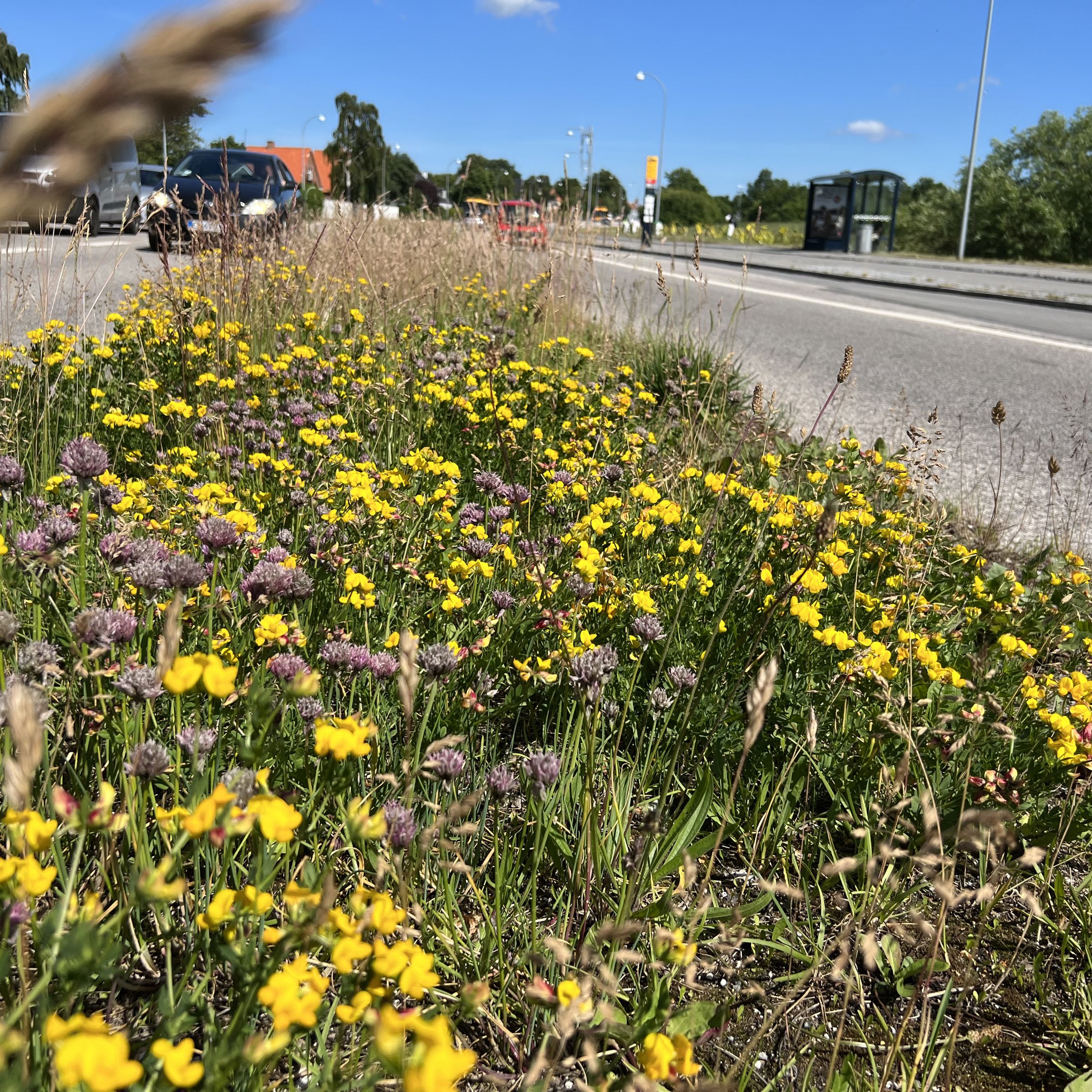Holbækvej.